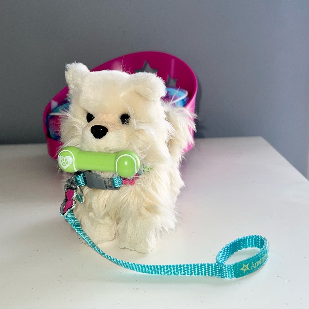 American Girl Truly Me/Modern Pet Galaxy Pet Bed and Pomeranian Puppy